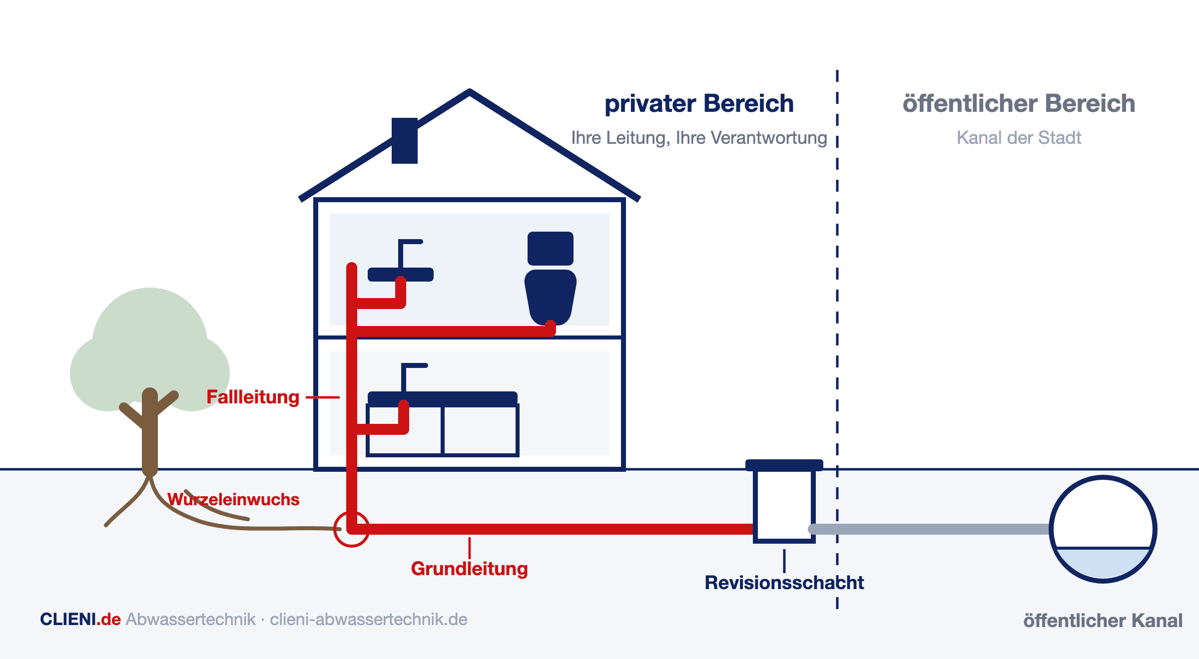 Schaubild: Fallleitung und Grundleitung im privaten Bereich bis zum Revisionsschacht an der Grundstücksgrenze, dahinter der öffentliche Kanal, dazu Wurzeleinwuchs an der Grundleitung
