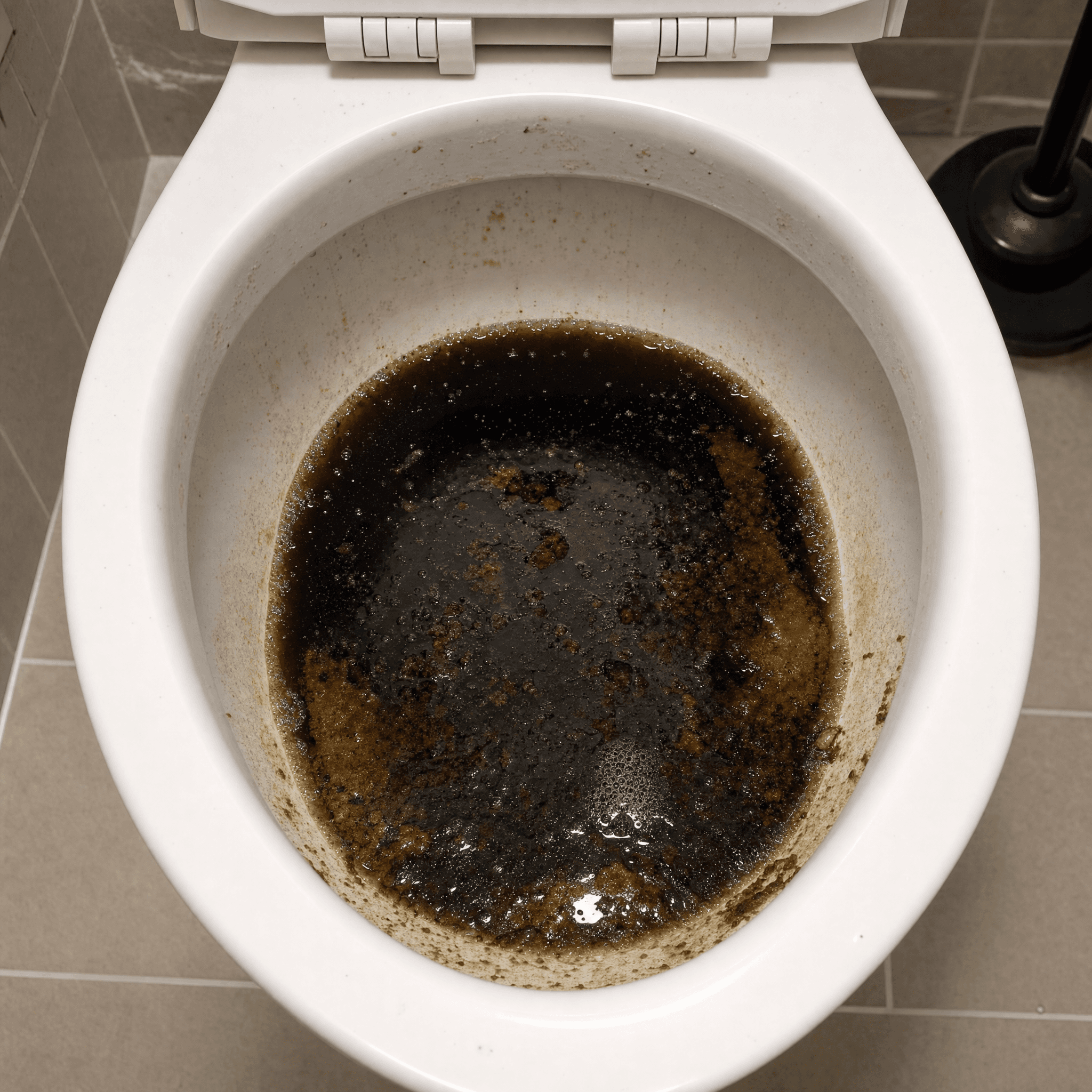 WC-Verstopfung